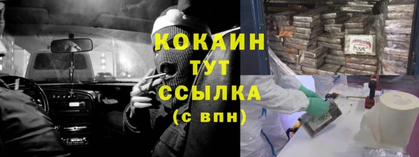 мдпв Верея