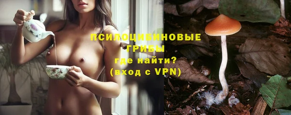 spice Рославль