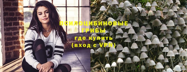 гашик Верхний Тагил