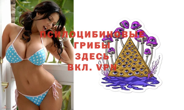 гашик Верхний Тагил
