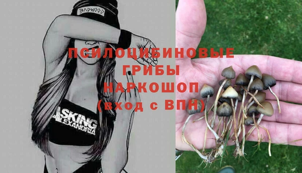 гашик Верхний Тагил