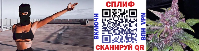 Конопля план Почеп