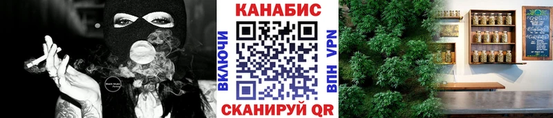 Купить где  Почеп  Канабис семена 